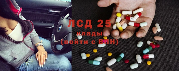 PSILOCYBIN Алексеевка